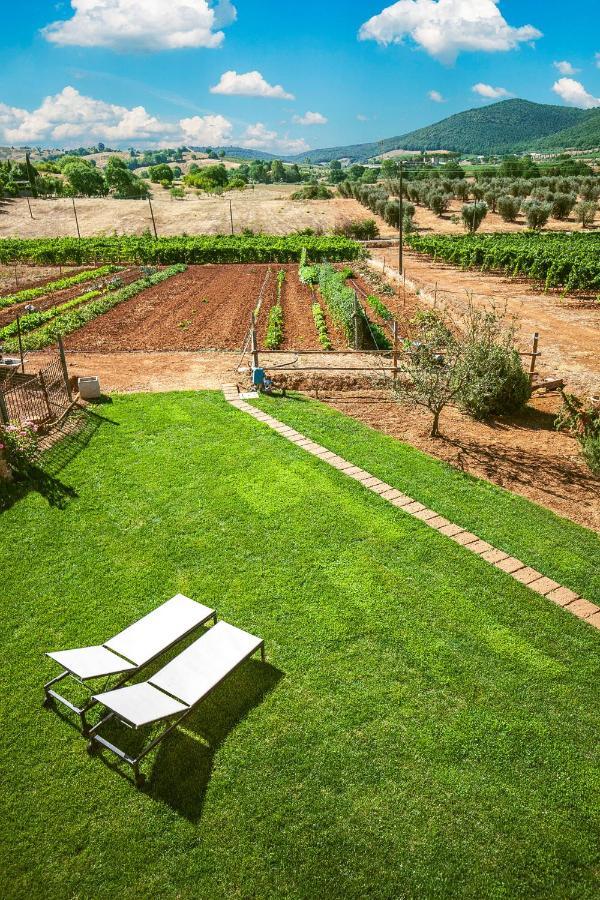 Poggiolivi Agriturismo Bio In Maremma Алберезе Екстериор снимка