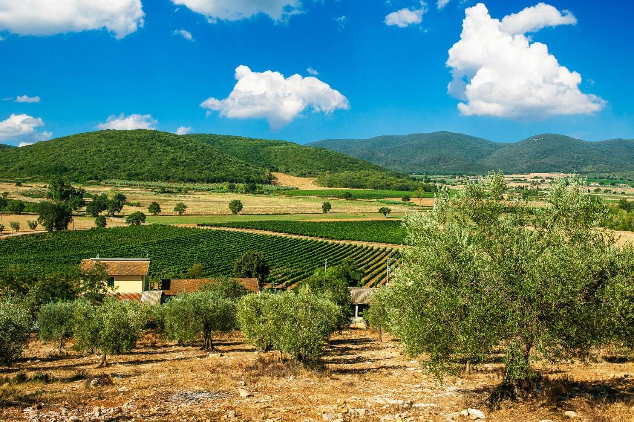 Poggiolivi Agriturismo Bio In Maremma Алберезе Екстериор снимка