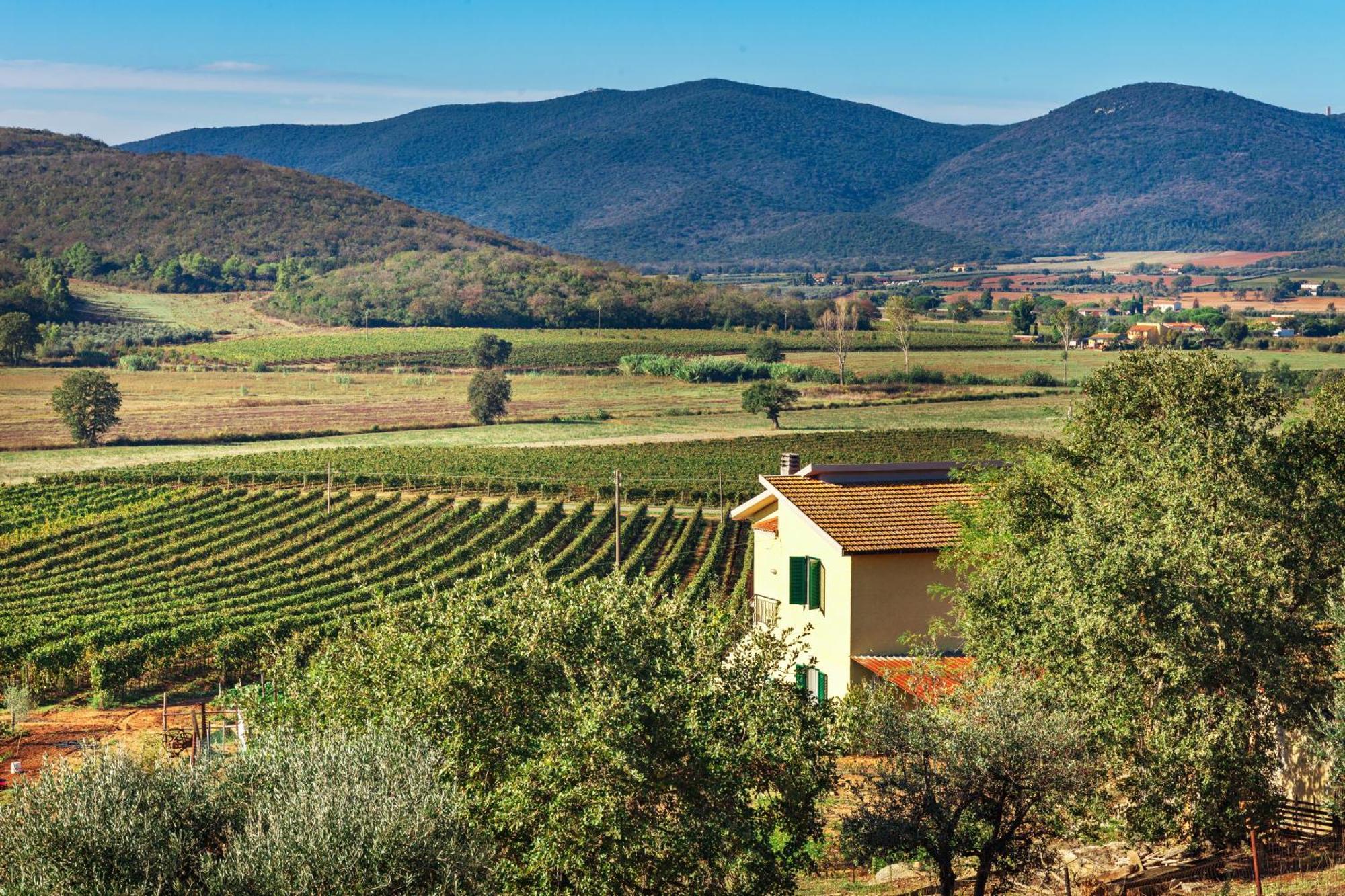 Poggiolivi Agriturismo Bio In Maremma Алберезе Стая снимка